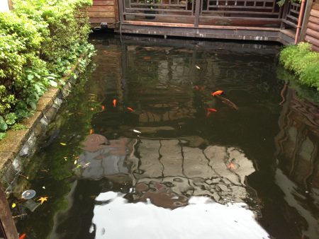 逸馨園書香茶坊