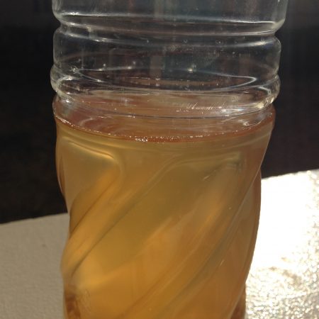 万能酵母液