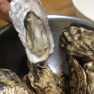 殻付き牡蠣