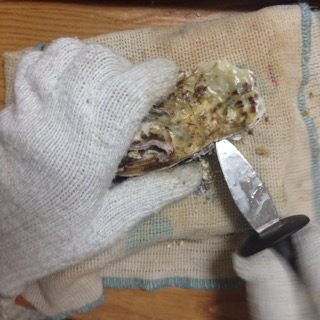 牡蠣の開き方