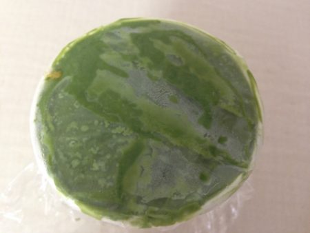 ハーゲンダッツ風 抹茶アイス