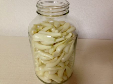 らっきょう　甘酢漬け
