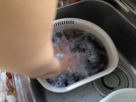 梅干し　本漬け