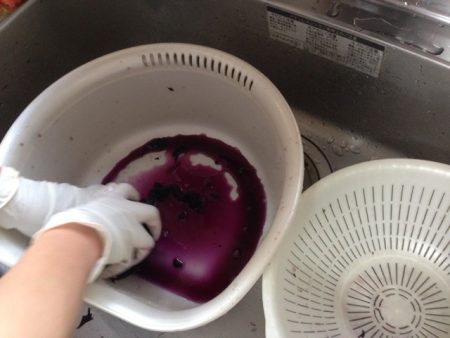 梅干し　本漬け