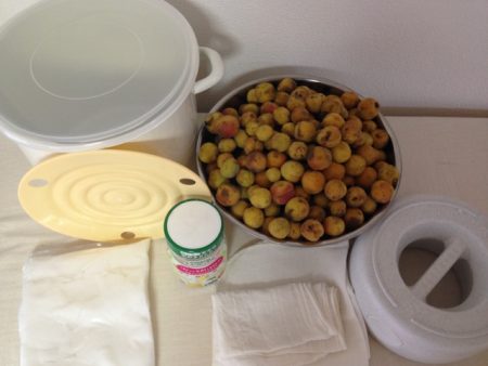 梅干し　漬け方
