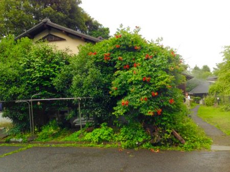 奥湯の郷