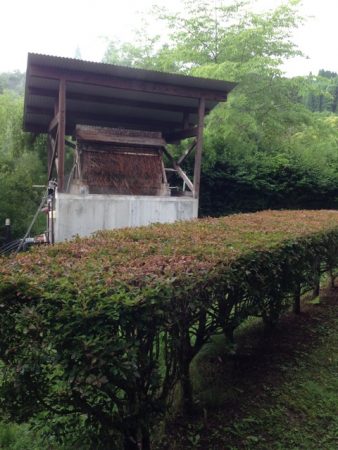 湯布院　奥湯の郷