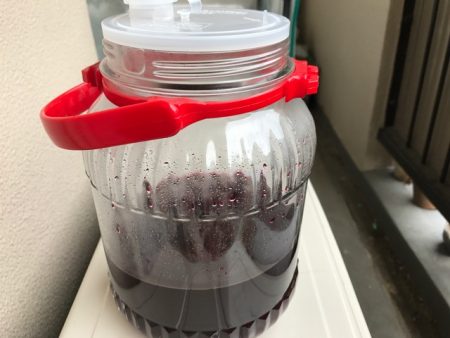 梅干し　漬け方
