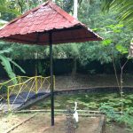Mitra Hermitage Ayurveda