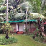 Mitra Hermitage Ayurveda