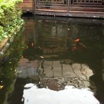 逸馨園書香茶坊