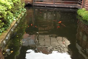 逸馨園書香茶坊