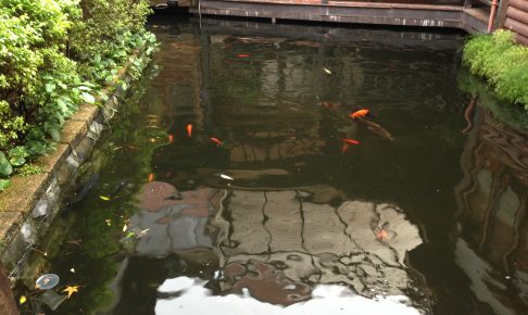 逸馨園書香茶坊