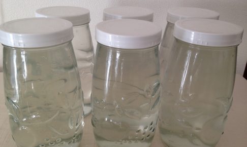 万能酵母液