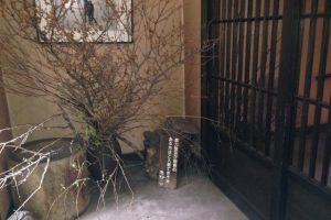 志楽の湯