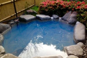 奥湯の郷　湯布院
