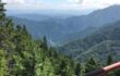 三峯神社